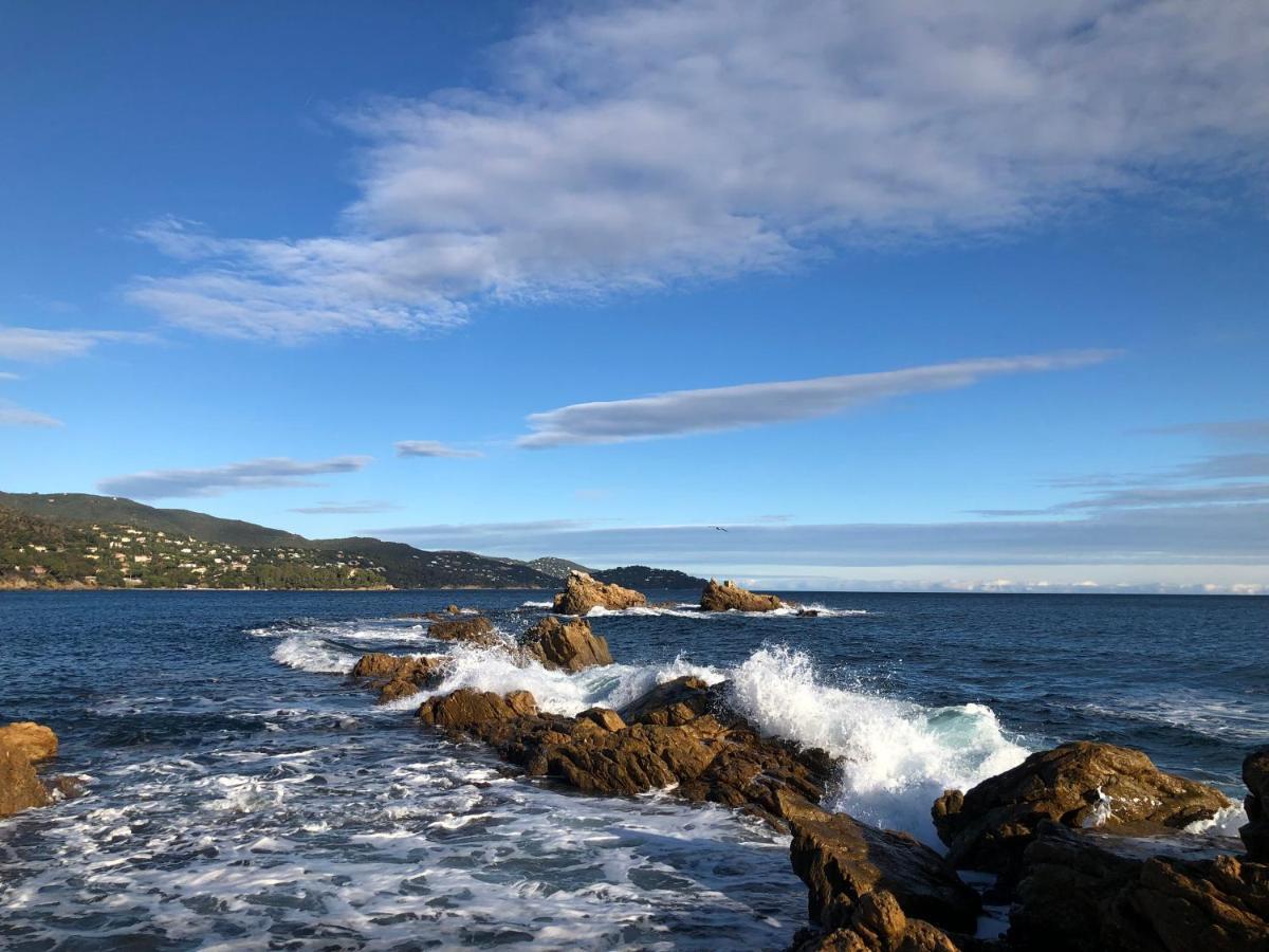 Mer Et Soleil Bormes-les-Mimosas Bagian luar foto